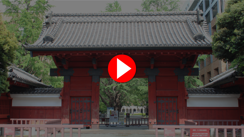 YouTube動画へのリンク